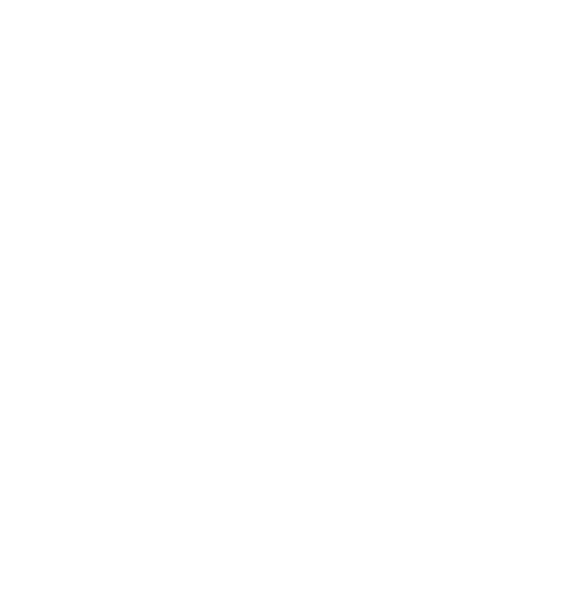 Take 2 Bulli-Bar Logo